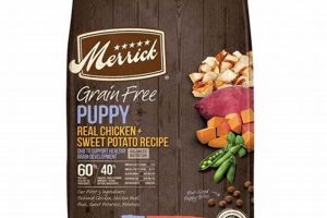 Best Grain & Corn Free Dog Food: Healthy & Delicious! Safem Fabrication - Precision Engineering & Custom Manufacturing Solutions Best Grain & Corn Free Dog Food: Healthy & Delicious! | Safem Fabrication - Precision Engineering & Custom Manufacturing Solutions