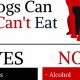 Is Food Coloring Safe? Can Dogs Eat It? Guide | World’s Most Delicious Foods: Must-Try Dishes from Every Country