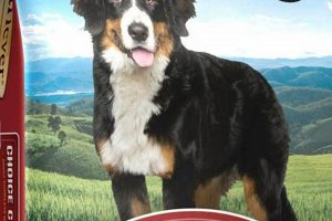 Retriever Dog Food: Who Makes It & Is It Good? Safem Fabrication - Precision Engineering & Custom Manufacturing Solutions Retriever Dog Food: Who Makes It & Is It Good? | Safem Fabrication - Precision Engineering & Custom Manufacturing Solutions