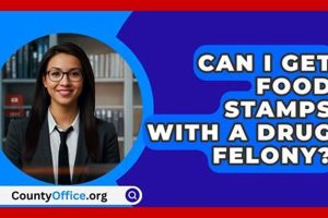 Buying Food Stamps: Is It a Felony? [Legal Guide] | World’s Most Delicious Foods: Must-Try Dishes from Every Country