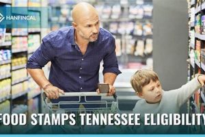Clarksville TN Food Stamps: Your Local SNAP Office Guide Safem Fabrication - Precision Engineering & Custom Manufacturing Solutions Clarksville TN Food Stamps: Your Local SNAP Office Guide | Safem Fabrication - Precision Engineering & Custom Manufacturing Solutions
