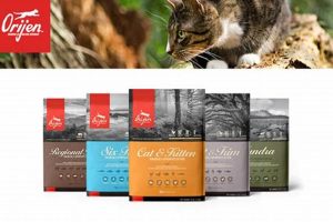 The Truth: Is Orijen Cat Food Good? + Best Alternatives Safem Fabrication - Precision Engineering & Custom Manufacturing Solutions The Truth: Is Orijen Cat Food Good? + Best Alternatives | Safem Fabrication - Precision Engineering & Custom Manufacturing Solutions