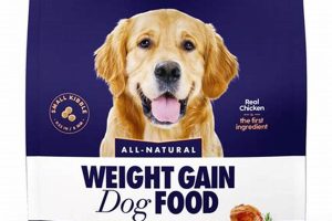 Best Weight Gaining Dog Food: How To Help Your Dog Gain Weight Safem Fabrication - Precision Engineering & Custom Manufacturing Solutions Best Weight Gaining Dog Food: How To Help Your Dog Gain Weight | Safem Fabrication - Precision Engineering & Custom Manufacturing Solutions