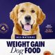 Best Weight Gaining Dog Food: How To Help Your Dog Gain Weight | World’s Most Delicious Foods: Must-Try Dishes from Every Country