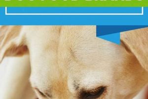 Best Top Grain Free Dog Food Brands: Healthy Choice Guide Safem Fabrication - Precision Engineering & Custom Manufacturing Solutions Best Top Grain Free Dog Food Brands: Healthy Choice Guide | Safem Fabrication - Precision Engineering & Custom Manufacturing Solutions