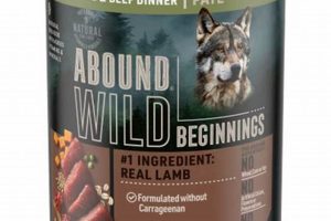 Abound Wild Beginnings Dog Food: The Natural Choice For Your Dog Safem Fabrication - Precision Engineering & Custom Manufacturing Solutions Abound Wild Beginnings Dog Food: The Natural Choice For Your Dog | Safem Fabrication - Precision Engineering & Custom Manufacturing Solutions
