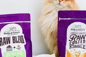 Stella & Chewy's Freeze-Dried Cat Food: Is it Right for Your Cat? Safem Fabrication - Precision Engineering & Custom Manufacturing Solutions Stella & Chewy's Freeze-Dried Cat Food: Is it Right for Your Cat? | Safem Fabrication - Precision Engineering & Custom Manufacturing Solutions