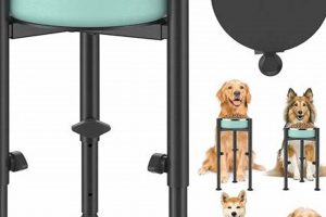 Best Single Dog Food Bowl Stand: Elevated & Stylish! World’s Most Delicious Foods: Must-Try Dishes from Every Country Best Single Dog Food Bowl Stand: Elevated & Stylish! | World’s Most Delicious Foods: Must-Try Dishes from Every Country