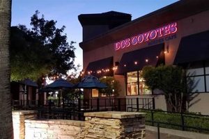 Best Thai Food Near Natomas, CA: Your Local Guide Safem Fabrication - Precision Engineering & Custom Manufacturing Solutions Best Thai Food Near Natomas, CA: Your Local Guide | Safem Fabrication - Precision Engineering & Custom Manufacturing Solutions