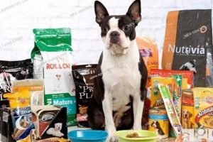 Best Boston Terrier Dog Food: Breed Nutrition & Tips World’s Most Delicious Foods: Must-Try Dishes from Every Country Best Boston Terrier Dog Food: Breed Nutrition & Tips | World’s Most Delicious Foods: Must-Try Dishes from Every Country
