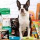 Best Boston Terrier Dog Food: Breed Nutrition & Tips | World’s Most Delicious Foods: Must-Try Dishes from Every Country