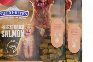 Benefits of Freeze Dried Salmon Dog Food for Your Pup! Safem Fabrication - Precision Engineering & Custom Manufacturing Solutions Benefits of Freeze Dried Salmon Dog Food for Your Pup! | Safem Fabrication - Precision Engineering & Custom Manufacturing Solutions