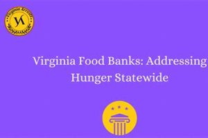 Find Local Food Banks in Virginia Beach, VA: Resources & Support Safem Fabrication - Precision Engineering & Custom Manufacturing Solutions Find Local Food Banks in Virginia Beach, VA: Resources & Support | Safem Fabrication - Precision Engineering & Custom Manufacturing Solutions