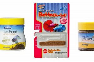 Best Live Food For Betta Fish: Nutrition & Care Tips Safem Fabrication - Precision Engineering & Custom Manufacturing Solutions Best Live Food For Betta Fish: Nutrition & Care Tips | Safem Fabrication - Precision Engineering & Custom Manufacturing Solutions