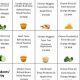 Your CPS Food Menu Guide: What's on the Menu? | World’s Most Delicious Foods: Must-Try Dishes from Every Country