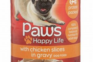 Why Dog Paws Food? Causes & Solutions for Your Pup! World’s Most Delicious Foods: Must-Try Dishes from Every Country Why Dog Paws Food? Causes & Solutions for Your Pup! | World’s Most Delicious Foods: Must-Try Dishes from Every Country