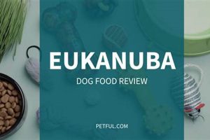 Review: Is Eukanuba a Good Dog Food Brand Choice? Safem Fabrication - Precision Engineering & Custom Manufacturing Solutions Review: Is Eukanuba a Good Dog Food Brand Choice? | Safem Fabrication - Precision Engineering & Custom Manufacturing Solutions
