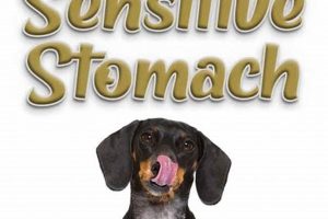 Top Rated: Best Raw Dog Food for Sensitive Stomachs Guide Safem Fabrication - Precision Engineering & Custom Manufacturing Solutions Top Rated: Best Raw Dog Food for Sensitive Stomachs Guide | Safem Fabrication - Precision Engineering & Custom Manufacturing Solutions