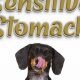 Top Rated: Best Raw Dog Food for Sensitive Stomachs Guide | World’s Most Delicious Foods: Must-Try Dishes from Every Country