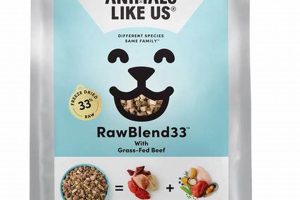 Best Animals Like Us Dog Food: Nourishing Your Pet! Safem Fabrication - Precision Engineering & Custom Manufacturing Solutions Best Animals Like Us Dog Food: Nourishing Your Pet! | Safem Fabrication - Precision Engineering & Custom Manufacturing Solutions