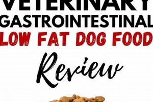 Best Low Fat Dog Food at Royal Canin: Weight & Health Safem Fabrication - Precision Engineering & Custom Manufacturing Solutions Best Low Fat Dog Food at Royal Canin: Weight & Health | Safem Fabrication - Precision Engineering & Custom Manufacturing Solutions