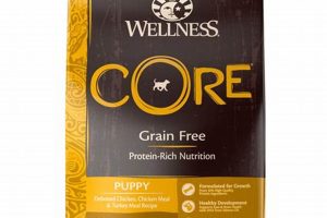 Best Low Purine Dog Food: Diet & Stone Control Tips World’s Most Delicious Foods: Must-Try Dishes from Every Country Best Low Purine Dog Food: Diet & Stone Control Tips | World’s Most Delicious Foods: Must-Try Dishes from Every Country