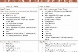 Gentle Relief: Bland Diet Cat Food Secrets Safem Fabrication - Precision Engineering & Custom Manufacturing Solutions Gentle Relief: Bland Diet Cat Food Secrets | Safem Fabrication - Precision Engineering & Custom Manufacturing Solutions
