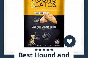 Reviewing Hound & Gatos Cat Food: Is it Good for Your Cat? Safem Fabrication - Precision Engineering & Custom Manufacturing Solutions Reviewing Hound & Gatos Cat Food: Is it Good for Your Cat? | Safem Fabrication - Precision Engineering & Custom Manufacturing Solutions