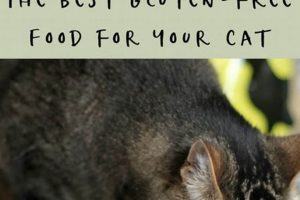Is Gluten-Free Cat Food Best? + Alternatives & FAQ Safem Fabrication - Precision Engineering & Custom Manufacturing Solutions Is Gluten-Free Cat Food Best? + Alternatives & FAQ | Safem Fabrication - Precision Engineering & Custom Manufacturing Solutions