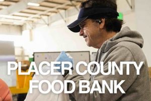 Support Placer County Food Bank: Fight Hunger Now! Safem Fabrication - Precision Engineering & Custom Manufacturing Solutions Support Placer County Food Bank: Fight Hunger Now! | Safem Fabrication - Precision Engineering & Custom Manufacturing Solutions