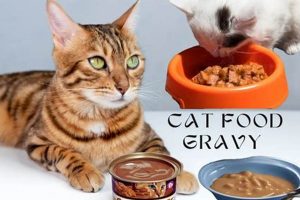Best Gravy Cat Food Choices: Delicious & Healthy Meals! Safem Fabrication - Precision Engineering & Custom Manufacturing Solutions Best Gravy Cat Food Choices: Delicious & Healthy Meals! | Safem Fabrication - Precision Engineering & Custom Manufacturing Solutions