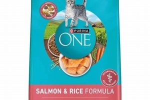 Best Dry Cat Food Salmon: Healthy & Delicious! Safem Fabrication - Precision Engineering & Custom Manufacturing Solutions Best Dry Cat Food Salmon: Healthy & Delicious! | Safem Fabrication - Precision Engineering & Custom Manufacturing Solutions