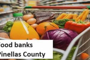 Your Guide: Food Pantries in Pinellas County, FL - Find Help! Safem Fabrication - Precision Engineering & Custom Manufacturing Solutions Your Guide: Food Pantries in Pinellas County, FL - Find Help! | Safem Fabrication - Precision Engineering & Custom Manufacturing Solutions