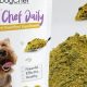Buy Dog Powder Food Now! | Easy & Nutritious | World’s Most Delicious Foods: Must-Try Dishes from Every Country