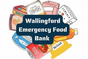 Your Wallingford Food Bank: Aid & Resources Near You Safem Fabrication - Precision Engineering & Custom Manufacturing Solutions Your Wallingford Food Bank: Aid & Resources Near You | Safem Fabrication - Precision Engineering & Custom Manufacturing Solutions