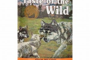 Best Taste of the Wild Puppy Food: Fueling Growth! World’s Most Delicious Foods: Must-Try Dishes from Every Country Best Taste of the Wild Puppy Food: Fueling Growth! | World’s Most Delicious Foods: Must-Try Dishes from Every Country