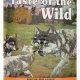 Best Taste of the Wild Puppy Food: Fueling Growth! | World’s Most Delicious Foods: Must-Try Dishes from Every Country