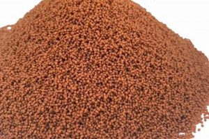 Best Sinking Pellet Fish Food: Healthy Bottom Feeders! Safem Fabrication - Precision Engineering & Custom Manufacturing Solutions Best Sinking Pellet Fish Food: Healthy Bottom Feeders! | Safem Fabrication - Precision Engineering & Custom Manufacturing Solutions