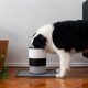 Help! Do Dogs Get Sick of Their Food? & Solutions | World’s Most Delicious Foods: Must-Try Dishes from Every Country