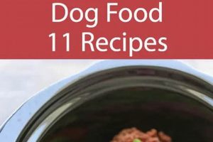 Easy Dog Food Recipes Crockpot: Healthy & Homemade World’s Most Delicious Foods: Must-Try Dishes from Every Country Easy Dog Food Recipes Crockpot: Healthy & Homemade | World’s Most Delicious Foods: Must-Try Dishes from Every Country