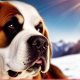 Guide: Best Dog Food for Saint Bernard Puppy [Top Brands] | World’s Most Delicious Foods: Must-Try Dishes from Every Country