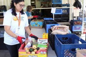 Become a Laguna Food Pantry Volunteer: Serve Your Community! Safem Fabrication - Precision Engineering & Custom Manufacturing Solutions Become a Laguna Food Pantry Volunteer: Serve Your Community! | Safem Fabrication - Precision Engineering & Custom Manufacturing Solutions