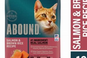 Abound Cat Food: Best Diet & Buying Guide Safem Fabrication - Precision Engineering & Custom Manufacturing Solutions Abound Cat Food: Best Diet & Buying Guide | Safem Fabrication - Precision Engineering & Custom Manufacturing Solutions