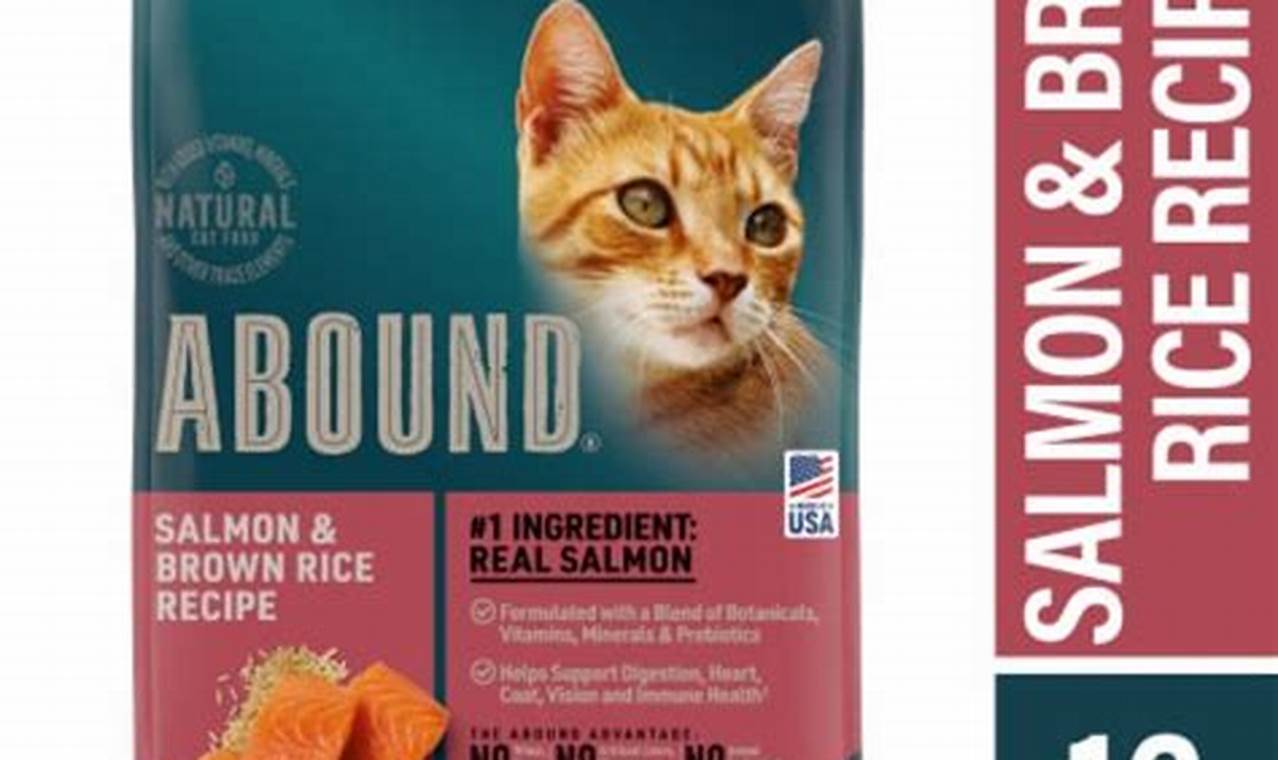 Abound Cat Food: Best Diet & Buying Guide Safem Fabrication - Precision Engineering & Custom Manufacturing Solutions Abound Cat Food: Best Diet & Buying Guide | Safem Fabrication - Precision Engineering & Custom Manufacturing Solutions