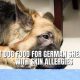 Top Picks: Best Dog Food for German Shepherds with Skin Allergies - Guide | World’s Most Delicious Foods: Must-Try Dishes from Every Country
