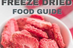 Shop Gluten-Free Freeze Dried Food Deals - Easy Meals! Safem Fabrication - Precision Engineering & Custom Manufacturing Solutions Shop Gluten-Free Freeze Dried Food Deals - Easy Meals! | Safem Fabrication - Precision Engineering & Custom Manufacturing Solutions
