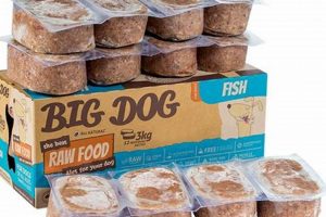Is Raw Fish Dog Food Safe? Benefits & Risks Safem Fabrication - Precision Engineering & Custom Manufacturing Solutions Is Raw Fish Dog Food Safe? Benefits & Risks | Safem Fabrication - Precision Engineering & Custom Manufacturing Solutions