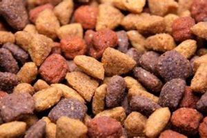 Dog Food Grain Mites: Prevention & Allergy Guide World’s Most Delicious Foods: Must-Try Dishes from Every Country Dog Food Grain Mites: Prevention & Allergy Guide | World’s Most Delicious Foods: Must-Try Dishes from Every Country