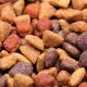 Dog Food Grain Mites: Prevention & Allergy Guide | World’s Most Delicious Foods: Must-Try Dishes from Every Country