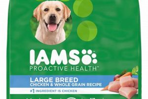 Buy Iams Dog Food Bulk: Save Big! [Deals] | World’s Most Delicious Foods: Must-Try Dishes from Every Country